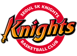 首尔SK骑士队